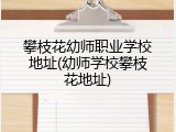 攀枝花幼师职业学校地址(幼师学校攀枝花地址)