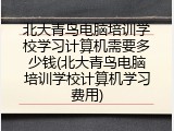 北大青鸟电脑培训学校学习计算机需要多少钱(北大青鸟电脑培训学校计算机学习费用)