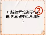 电脑编程培训学校(电脑编程技能培训班)