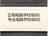 正规电脑学校培训(专业电脑学校培训)