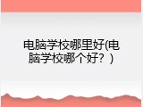 电脑学校哪里好(电脑学校哪个好？)