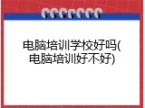 电脑培训学校好吗(电脑培训好不好)