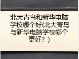 北大青鸟和新华电脑学校哪个好(北大青鸟与新华电脑学校哪个更好？)