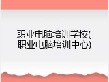 职业电脑培训学校(职业电脑培训中心)