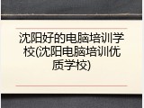 沈阳好的电脑培训学校(沈阳电脑培训优质学校)