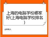 上海的电脑学校哪家好(上海电脑学校排名)