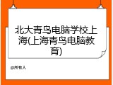 北大青鸟电脑学校上海(上海青鸟电脑教育)