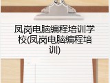 凤岗电脑编程培训学校(凤岗电脑编程培训)