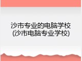 沙市专业的电脑学校(沙市电脑专业学校)