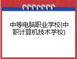中等电脑职业学校(中职计算机技术学校)