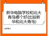 新华电脑学校和北大青鸟哪个好(比较新华和北大青鸟)