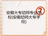 安徽大专幼师专业学校(安徽幼师大专学校)