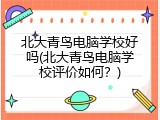 北大青鸟电脑学校好吗(北大青鸟电脑学校评价如何？)