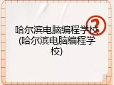 哈尔滨电脑编程学校(哈尔滨电脑编程学校)