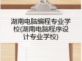 湖南电脑编程专业学校(湖南电脑程序设计专业学校)