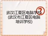 武汉江夏区电脑学校(武汉市江夏区电脑培训学校)