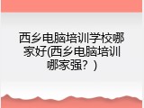 西乡电脑培训学校哪家好(西乡电脑培训哪家强？)