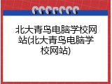 北大青鸟电脑学校网站(北大青鸟电脑学校网站)