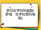 梦见在学校玩电脑(梦境：在学校里玩电脑)