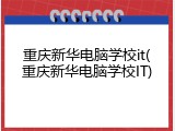 重庆新华电脑学校it(重庆新华电脑学校IT)