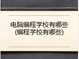 电脑编程学校有哪些(编程学校有哪些)