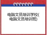 电脑文员培训学校(电脑文员培训班)