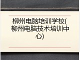 柳州电脑培训学校(柳州电脑技术培训中心)
