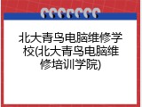 北大青鸟电脑维修学校(北大青鸟电脑维修培训学院)