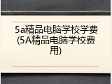 5a精品电脑学校学费(5A精品电脑学校费用)