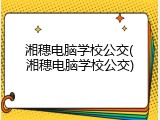 湘穗电脑学校公交(湘穗电脑学校公交)