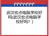 武汉宏点电脑学校好吗(武汉宏点电脑学校好吗？)