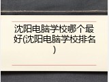 沈阳电脑学校哪个最好(沈阳电脑学校排名)