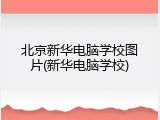 北京新华电脑学校图片(新华电脑学校)
