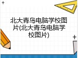 北大青鸟电脑学校图片(北大青鸟电脑学校图片)