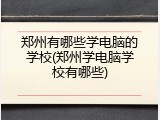 郑州有哪些学电脑的学校(郑州学电脑学校有哪些)