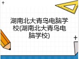湖南北大青鸟电脑学校(湖南北大青鸟电脑学校)