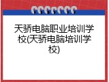 天骄电脑职业培训学校(天骄电脑培训学校)