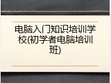 电脑入门知识培训学校(初学者电脑培训班)