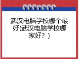 武汉电脑学校哪个最好(武汉电脑学校哪家好？)