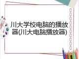 川大学校电脑的播放器(川大电脑播放器)