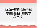 湖南计算机高等专科学校(湖南计算机专科学校)