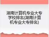 湖南计算机专业大专学校排名(湖南计算机专业大专排名)