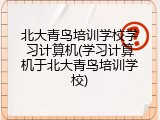 北大青鸟培训学校学习计算机(学习计算机于北大青鸟培训学校)