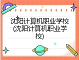 沈阳计算机职业学校(沈阳计算机职业学校)