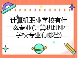 计算机职业学校有什么专业(计算机职业学校专业有哪些)