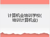 计算机业培训学校(培训计算机业)