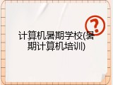 计算机暑期学校(暑期计算机培训)