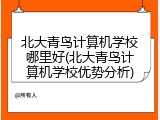 北大青鸟计算机学校哪里好(北大青鸟计算机学校优势分析)