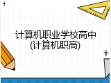 计算机职业学校高中(计算机职高)