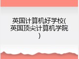 英国计算机好学校(英国顶尖计算机学院)